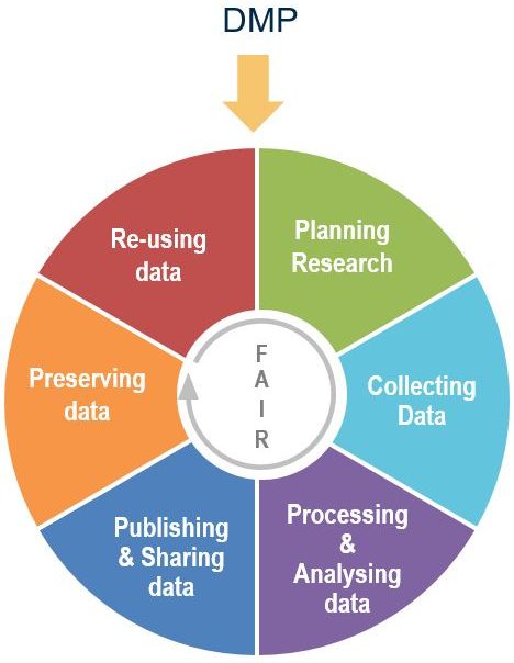 Diagramme circulaire décrivant les étapes FAIR de la gestion des données : planification, collecte, analyse, partage.